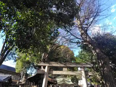 荻窪白山神社(東京都)