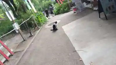 伏見豊川稲荷本宮(京都府)