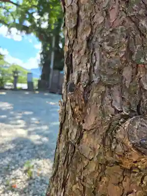 恵蘇八幡宮(福岡県)