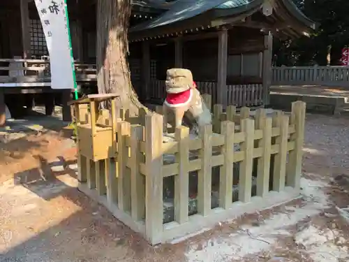 大麻比古神社の狛犬