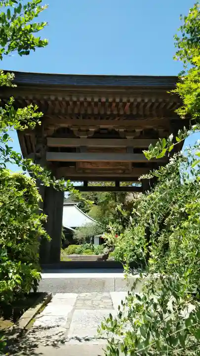 海蔵寺の山門・神門