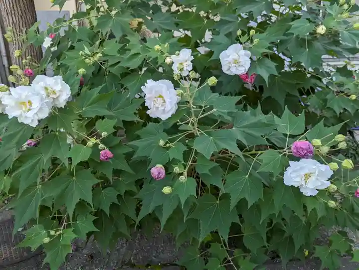 引接寺(千本ゑんま堂)(京都府)