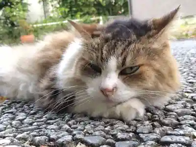 金華山御嶽神社(岐阜県)