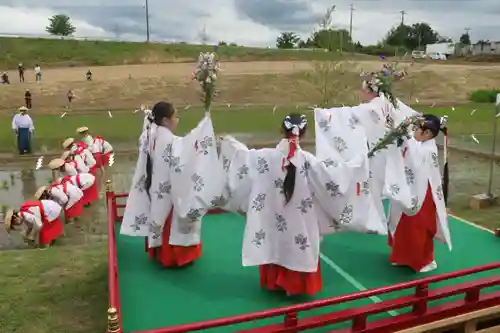 高屋敷稲荷神社のお祭り
