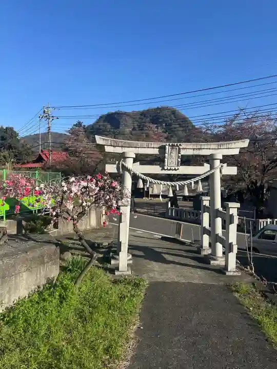 厄王大権現(山梨県)