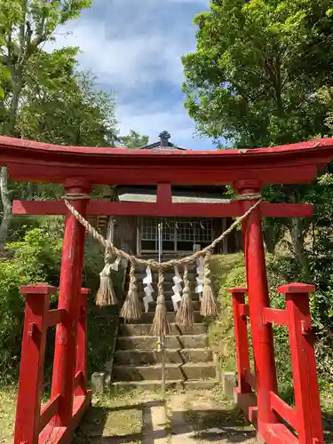 箱根神社の鳥居