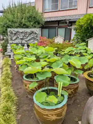 長善寺(東京都)