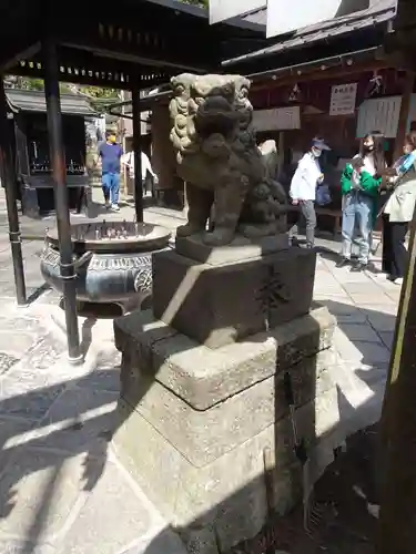 銭洗弁財天宇賀福神社の狛犬