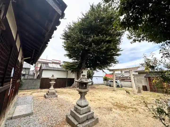 葛木御縣神社(奈良県)