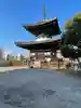 愛染堂勝鬘院の塔