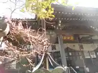 安國論寺(安国論寺)の本殿・本堂