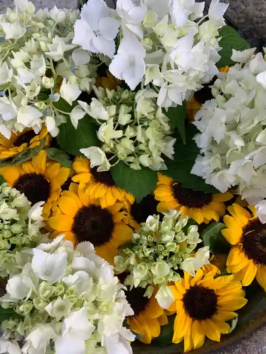 彌都加伎神社の手水舎