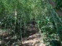 日枝神社の自然