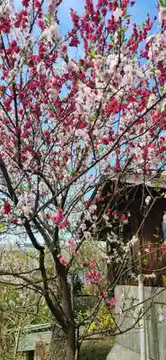 萬松寺(山形県)