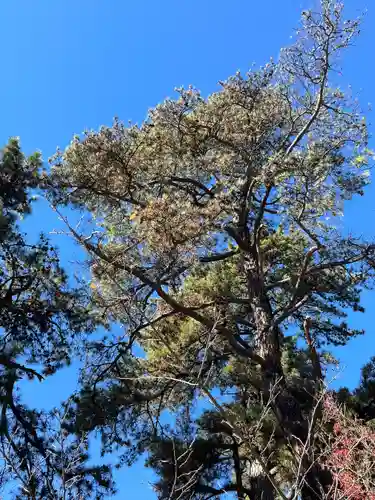 武田神社(山梨県)