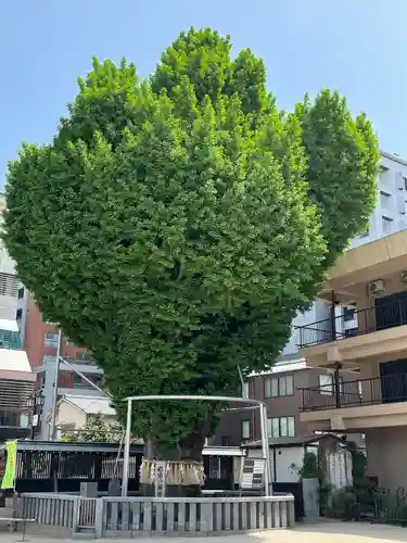 櫛田神社の食事