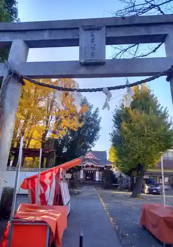 若宮八幡宮 (神奈川県)
