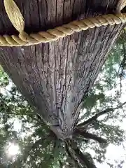 猿投神社の自然