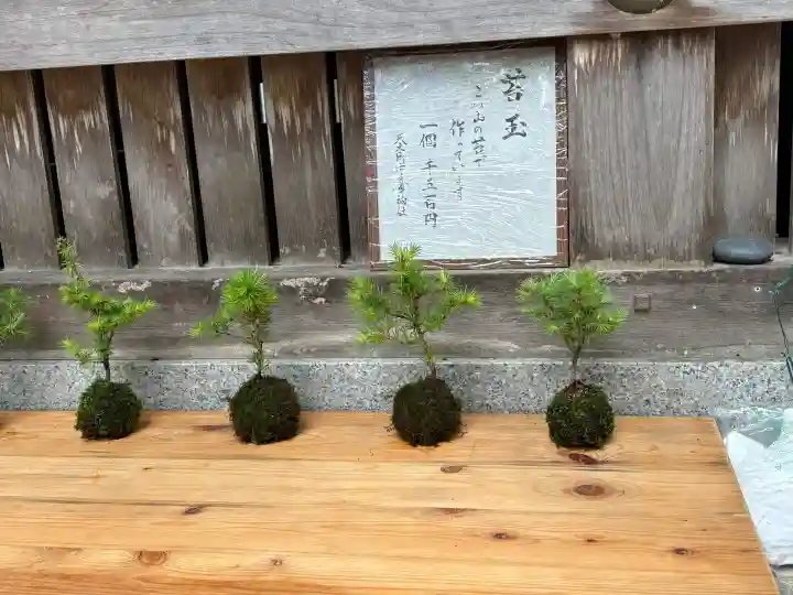 天之御中主尊神社の{uncategorized: "未分類", other: "その他", undefined: "問題あり", building: "その他建物", grave: "お墓", sacred_gate: "鳥居", guardian: "狛犬", statue: "像", buddha: "仏像", history: "歴史", nature: "自然", garden: "庭園", animal: "動物", pagoda: "塔", temizu: "手水舎", mountain_gate: "山門・神門", sanctuary: "本殿・本堂", subordinate: "末社・摂社", art: "芸術", scenery: "景色", jizo: "地蔵", ema: "絵馬", goshuin: "御朱印", omikuji: "おみくじ", items: "授与品その他", amulet: "お守り", goshuincho: "御朱印帳", eats: "食事", festival: "お祭り", votive_dance: "神楽", shichigosan: "七五三参", wedding: "結婚式", experience: "体験その他", initially: "初詣", around: "周辺", anti_infection: "感染症対策"}