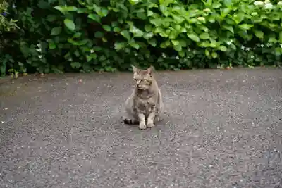 白金氷川神社(東京都)