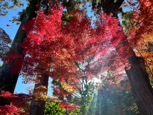 国宝　長寿寺(滋賀県)