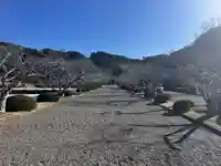 安房神社(千葉県)