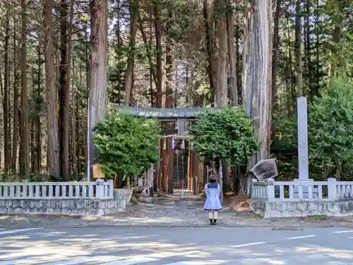 殿村八幡宮の鳥居