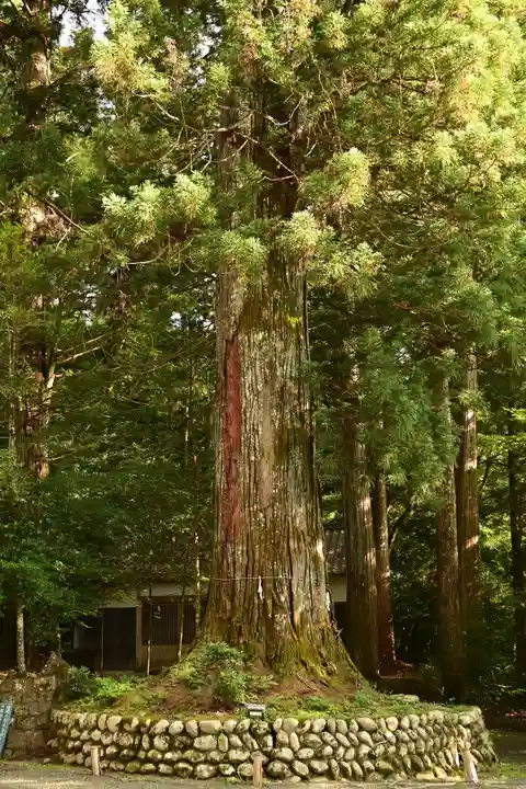 久万山総鎮守 三島神社(愛媛県)