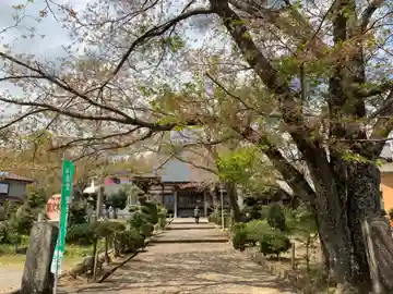 正蓮寺の本殿・本堂