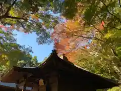 普門寺(切り絵御朱印発祥の寺)(愛知県)