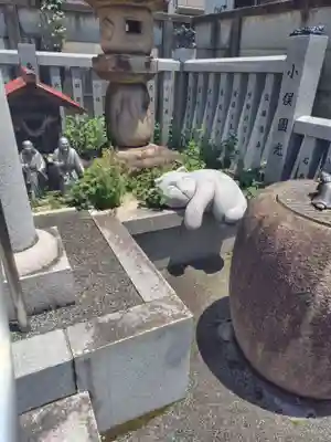 荻窪白山神社(東京都)