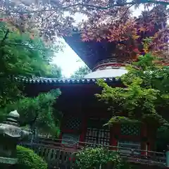 三瀧寺の建物その他