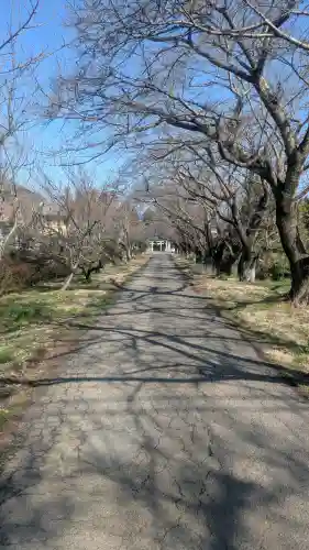 八幡宮の{uncategorized: "未分類", other: "その他", undefined: "問題あり", building: "その他建物", grave: "お墓", sacred_gate: "鳥居", guardian: "狛犬", statue: "像", buddha: "仏像", history: "歴史", nature: "自然", garden: "庭園", animal: "動物", pagoda: "塔", temizu: "手水舎", mountain_gate: "山門・神門", sanctuary: "本殿・本堂", subordinate: "末社・摂社", art: "芸術", scenery: "景色", jizo: "地蔵", ema: "絵馬", goshuin: "御朱印", omikuji: "おみくじ", items: "授与品その他", amulet: "お守り", goshuincho: "御朱印帳", eats: "食事", festival: "お祭り", votive_dance: "神楽", shichigosan: "七五三参", wedding: "結婚式", experience: "体験その他", initially: "初詣", around: "周辺", anti_infection: "感染症対策"}