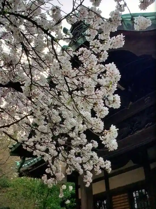 龍光寺(東京都)
