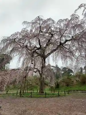 福星寺(千葉県)