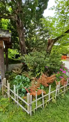 今熊野観音寺(京都府)