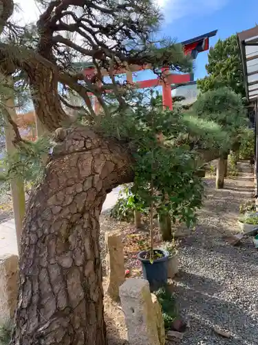 久之浜諏訪神社の自然