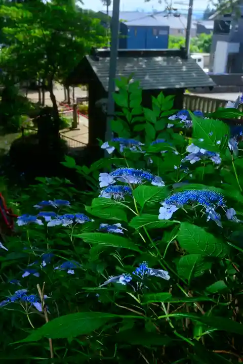 谷保天満宮(東京都)
