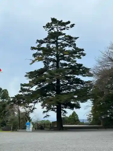 霧島神宮の{uncategorized: "未分類", other: "その他", undefined: "問題あり", building: "その他建物", grave: "お墓", sacred_gate: "鳥居", guardian: "狛犬", statue: "像", buddha: "仏像", history: "歴史", nature: "自然", garden: "庭園", animal: "動物", pagoda: "塔", temizu: "手水舎", mountain_gate: "山門・神門", sanctuary: "本殿・本堂", subordinate: "末社・摂社", art: "芸術", scenery: "景色", jizo: "地蔵", ema: "絵馬", goshuin: "御朱印", omikuji: "おみくじ", items: "授与品その他", amulet: "お守り", goshuincho: "御朱印帳", eats: "食事", festival: "お祭り", votive_dance: "神楽", shichigosan: "七五三参", wedding: "結婚式", experience: "体験その他", initially: "初詣", around: "周辺", anti_infection: "感染症対策"}