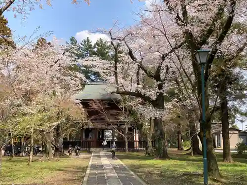 東漸寺(千葉県)