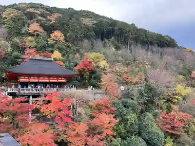 清水寺(京都府)
