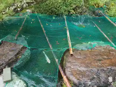 飽波神社(静岡県)