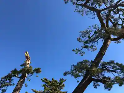 八重垣神社の自然