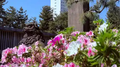 福井神社(福井県)