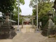 八幡神社（本町八幡神社）の鳥居