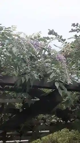 西方山極楽寺の自然