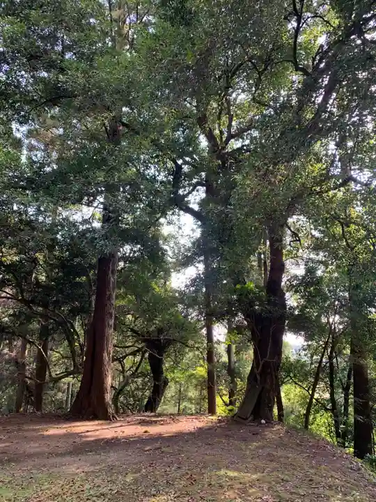 熊野神社(千葉県)