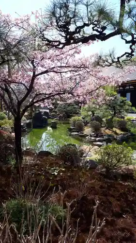 蓮華王院（三十三間堂）(京都府)