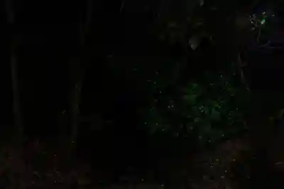 日枝神社の体験その他