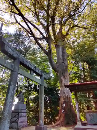 山田神社の鳥居